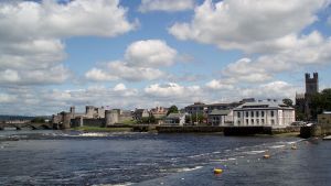 Limerick - House sitting Ireland