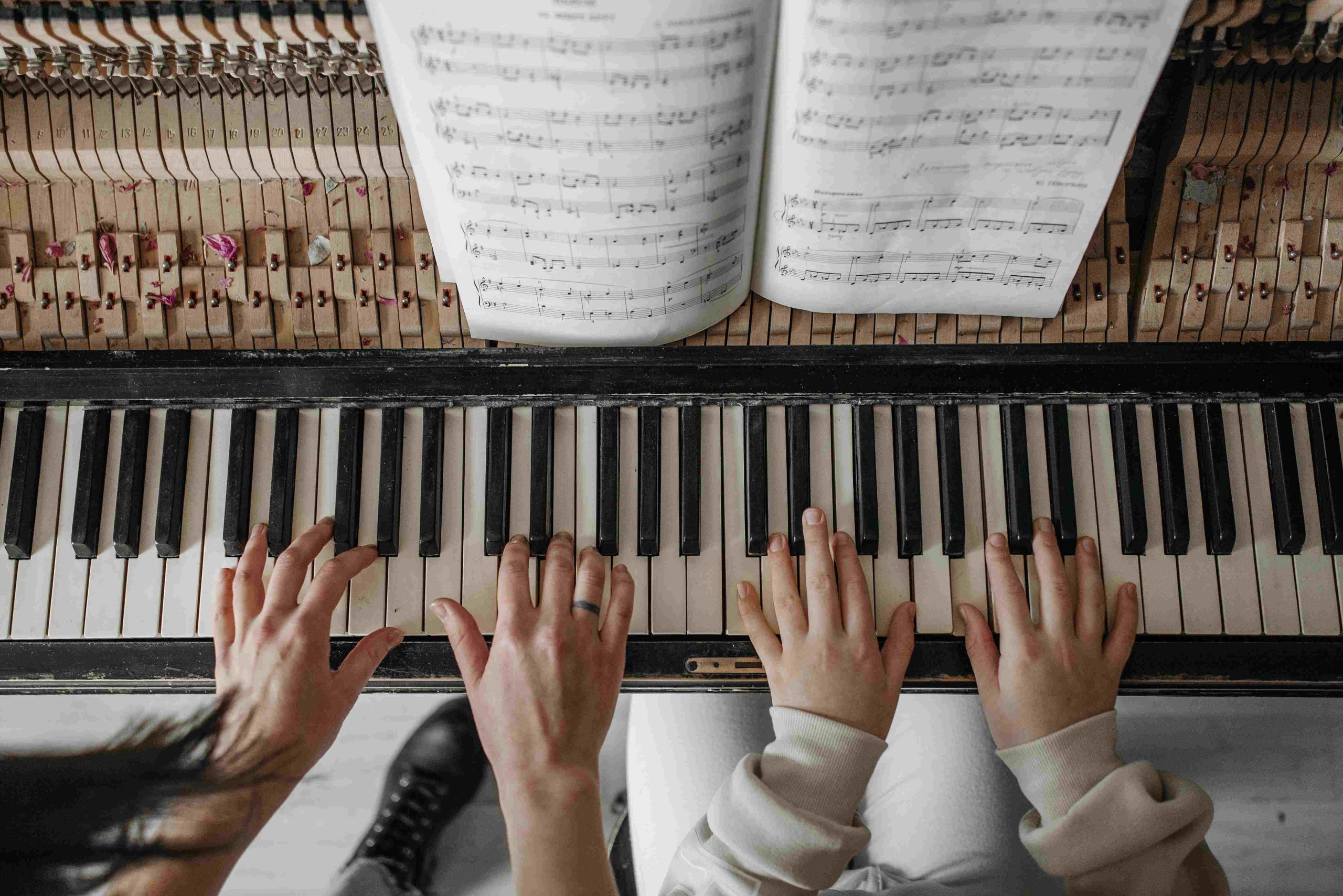 Understanding The Piano