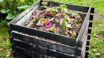Best ways to manage your garden waste